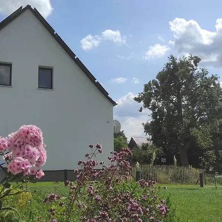 Storchennest - Ferienwohnung Am Storchenradweg Ketzür Buitenkant foto